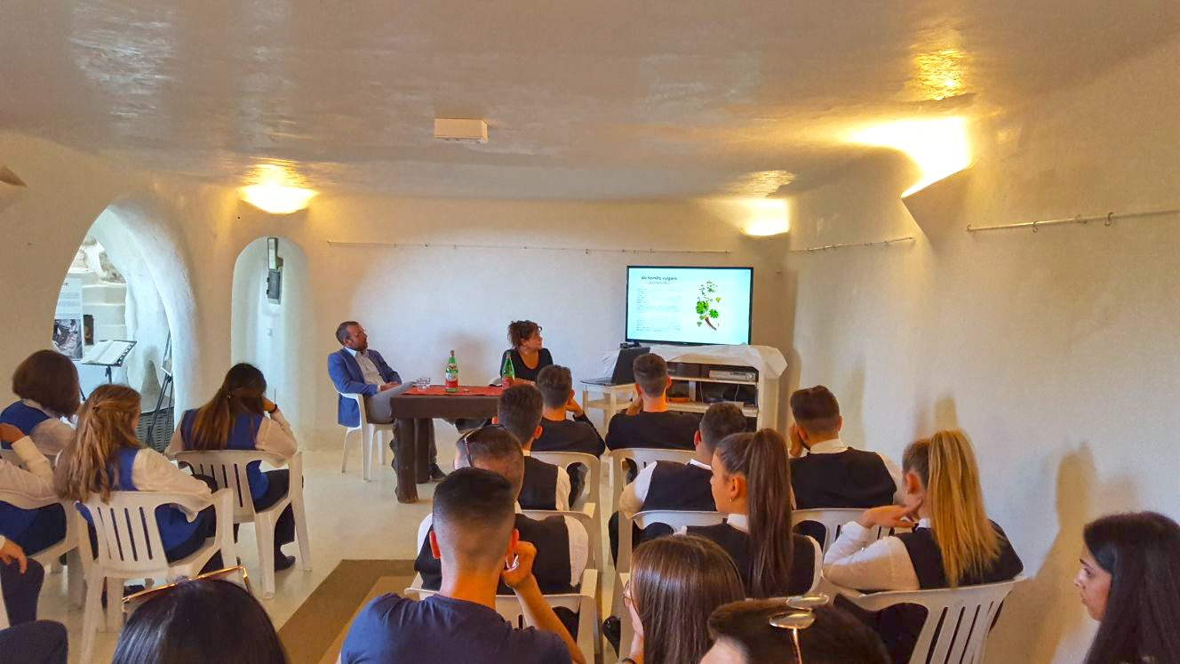ischia, eventi, mostre, 